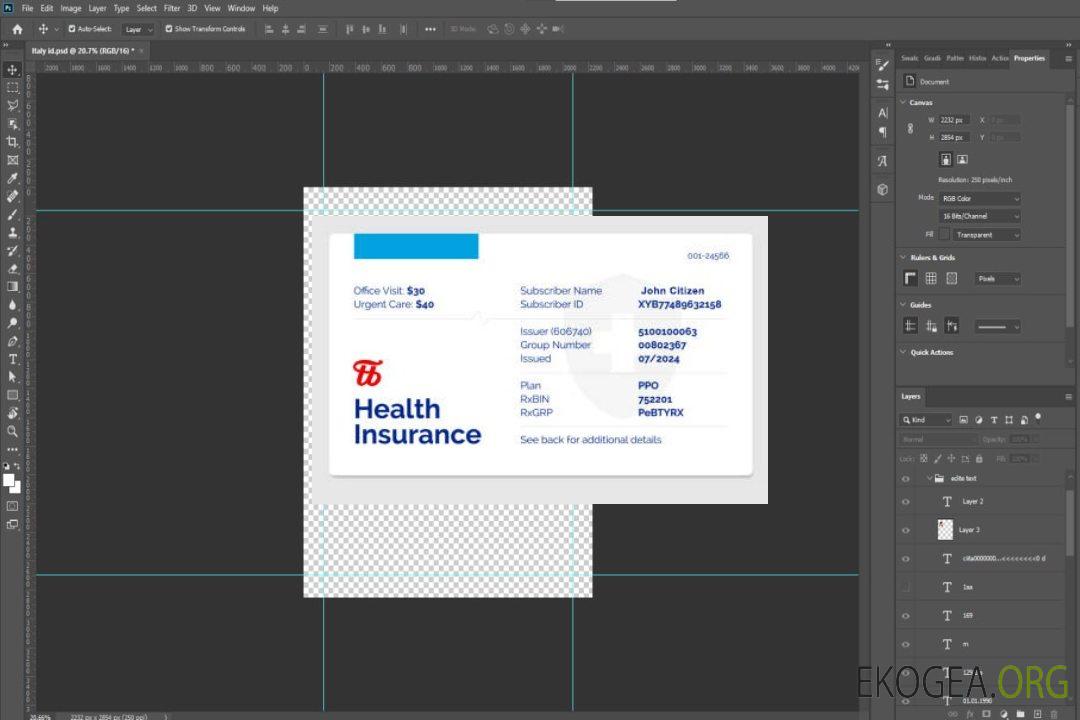 Carte d'assurance maladie de la compagnie d'assurance maladie template